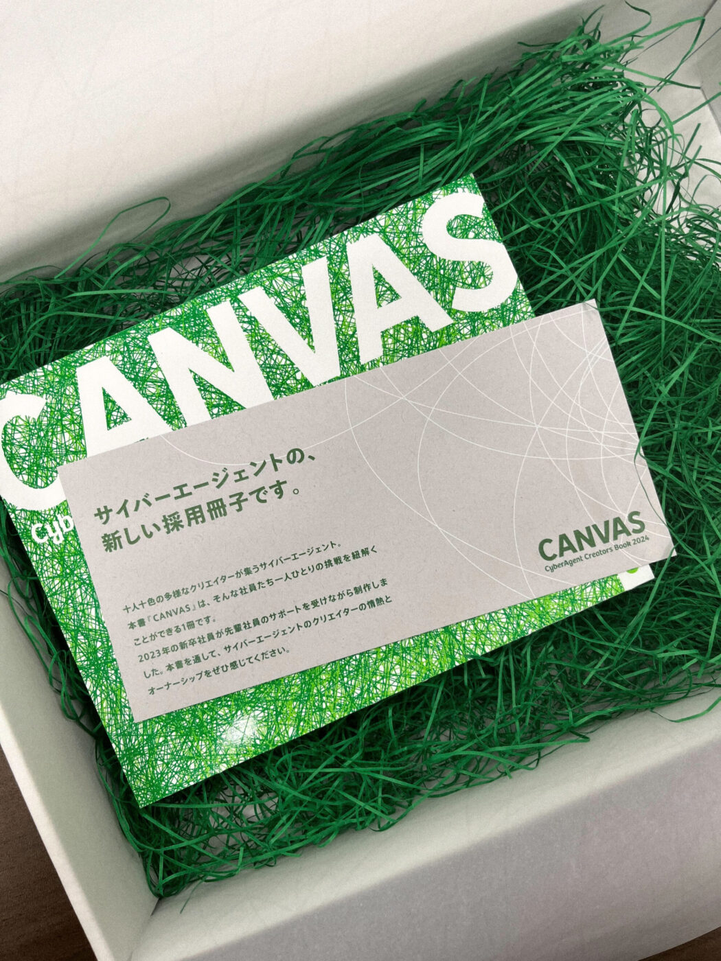 採用冊子「CANVAS」/ パッケージデザイン